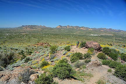 McDowell Mountain Regional Park, February 12, 2015